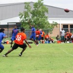 Rattler breaking on the ball